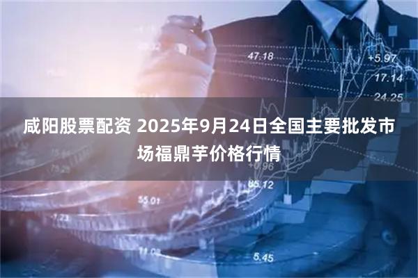 咸阳股票配资 2025年9月24日全国主要批发市场福鼎芋价格行情