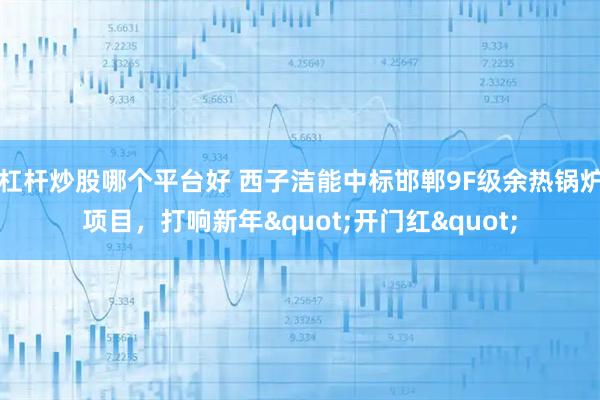 杠杆炒股哪个平台好 西子洁能中标邯郸9F级余热锅炉项目，打响新年"开门红"
